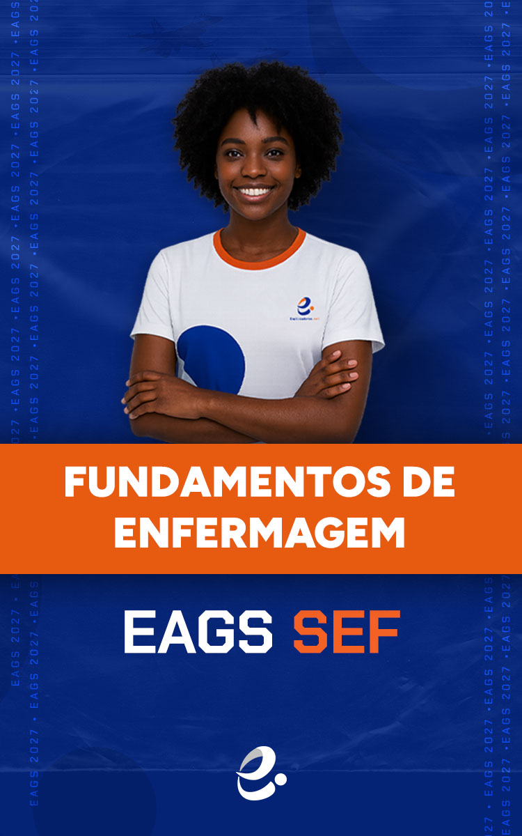 EAGS SEF 1EAGS SEF CAPAS 11