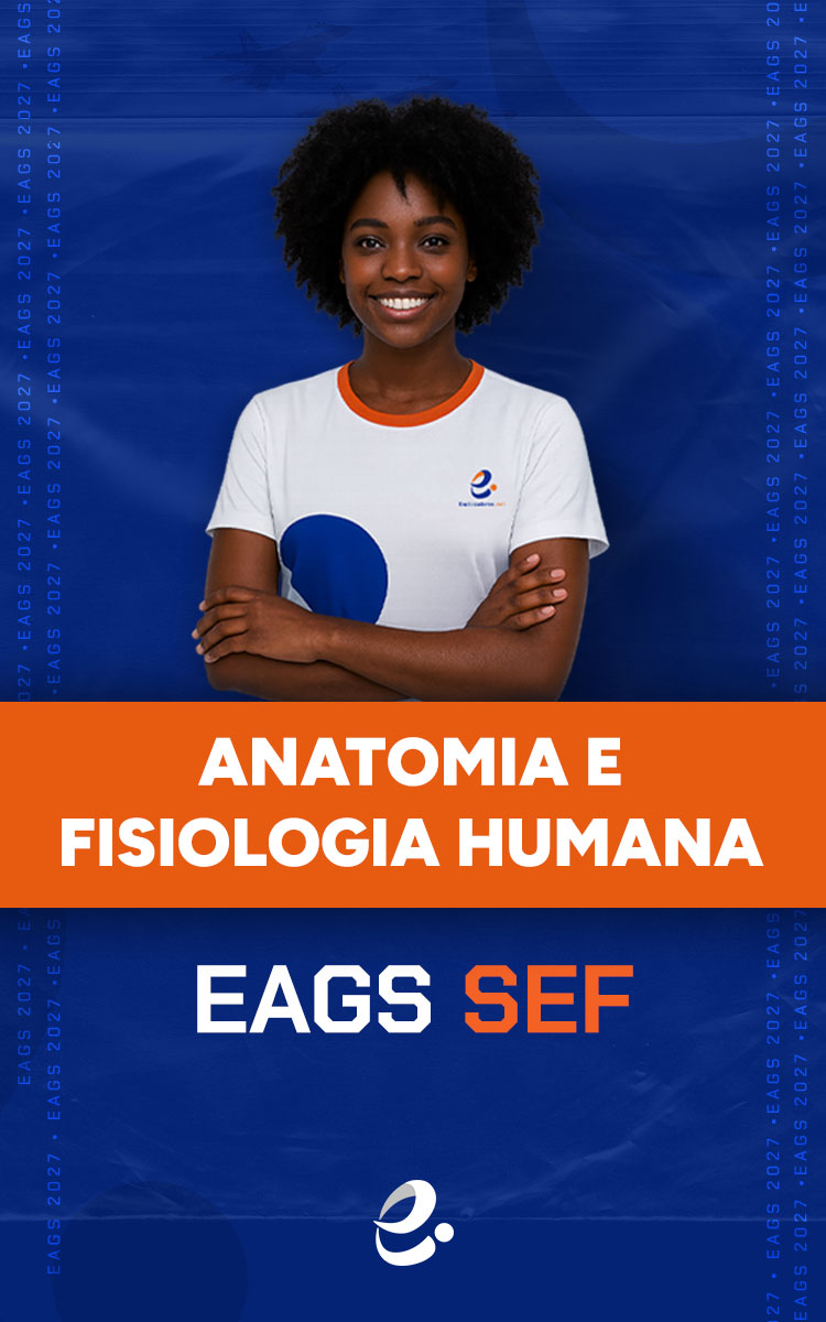 EAGS SEF 1EAGS SEF CAPAS 7